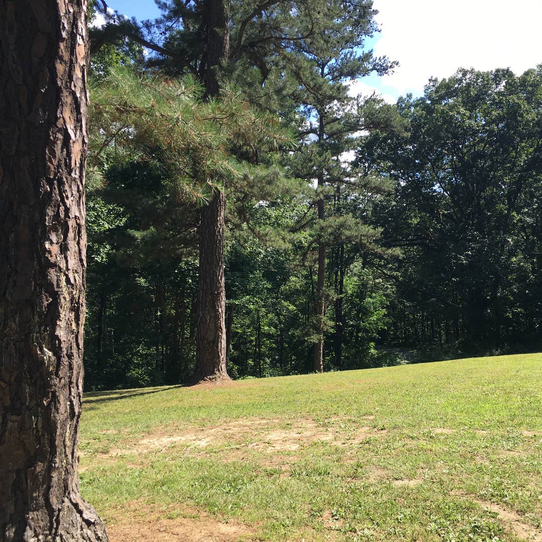 Tar Hollow State Park Camping The Dyrt