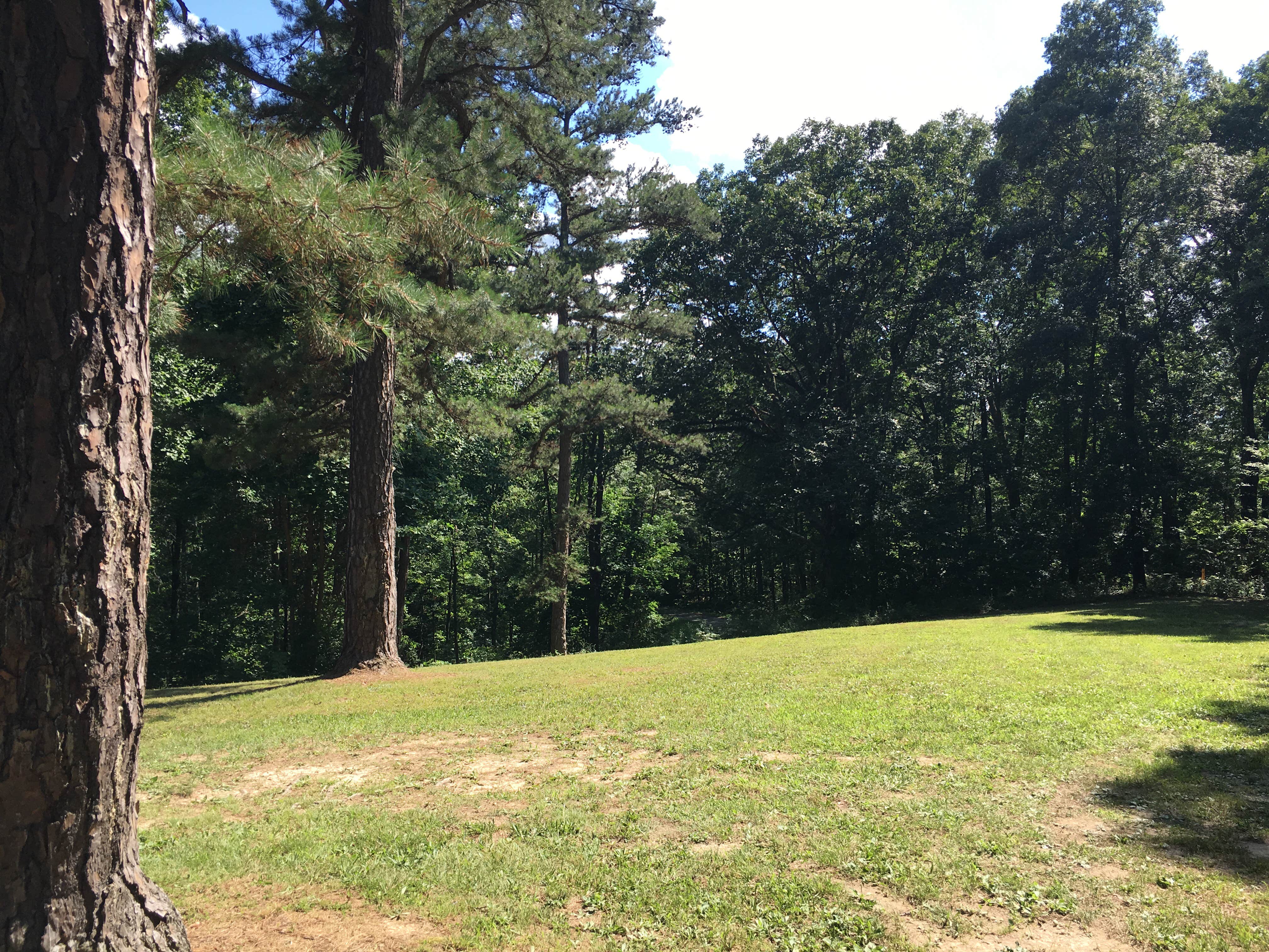 Camper submitted image from Tar Hollow State Park Campground - 2
