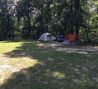 Camper-submitted photo from Tar Hollow State Park Campground