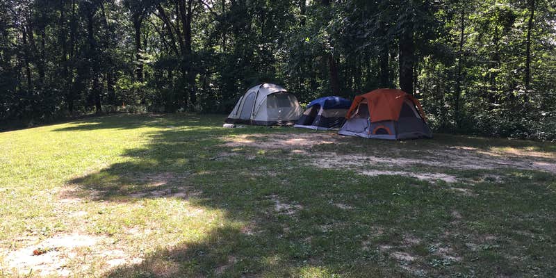 Camper submitted image from Tar Hollow State Park Campground