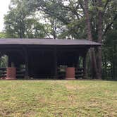Review photo of Tar Hollow State Park Campground by Renée C., July 12, 2017