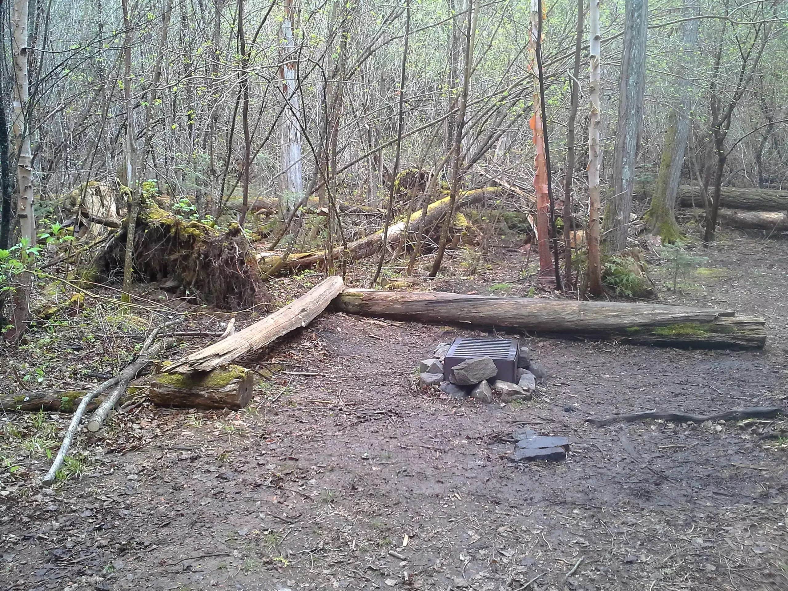 Camping near East Bearskin Lake Campground: Rose Lake (west), Grand Marais, Minnesota