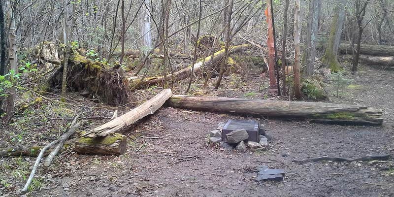 Camper submitted image from Rose Lake (west)