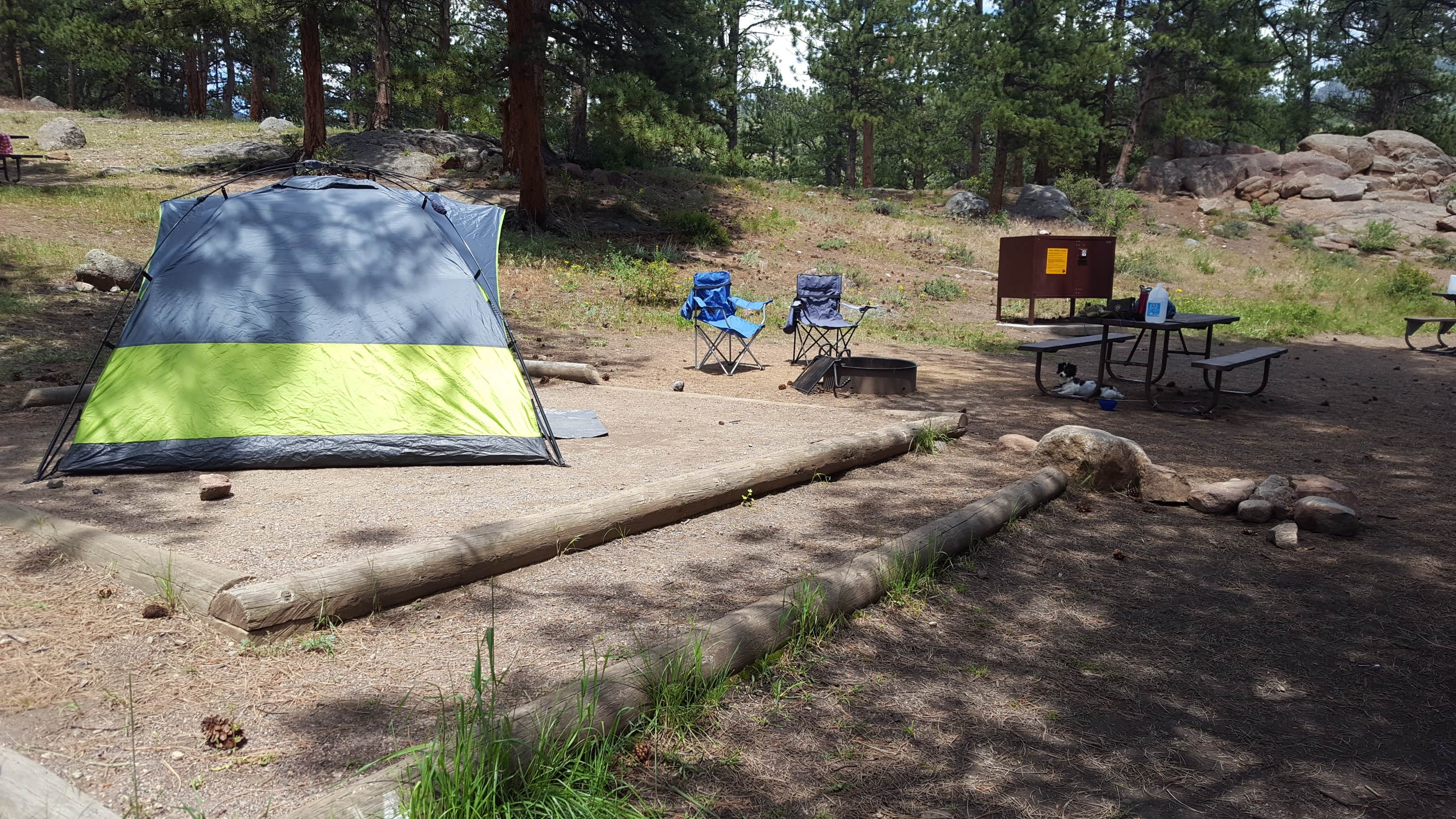 Lizzy C.'s photo at Moraine Park Campground — Rocky Mountain National Park near Estes Park, CO