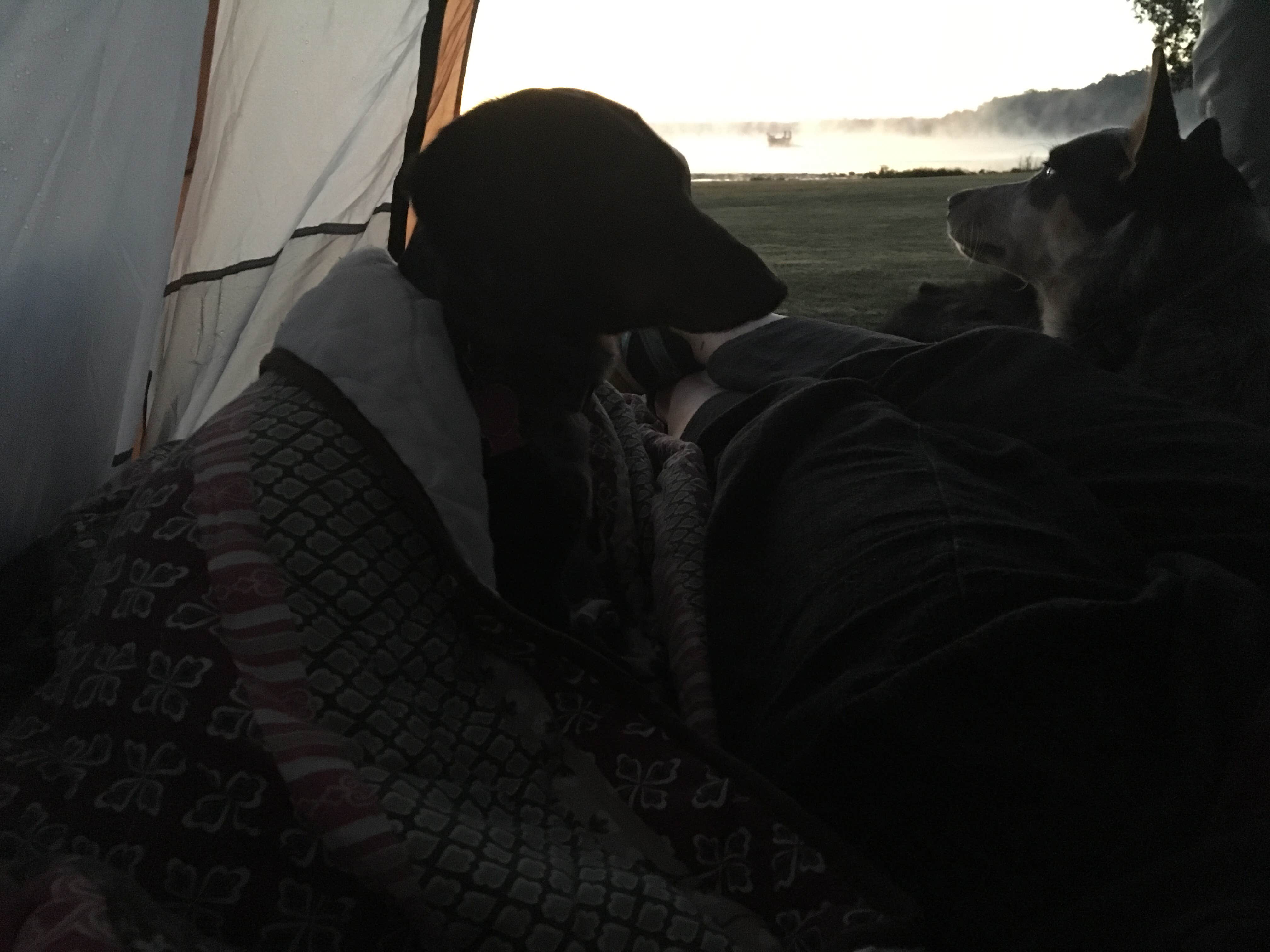 Shelly S.'s photo of camping with pets at Rocky Fork State Park Campground near Paint Creek Lake