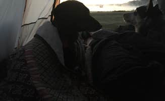 Shelly S.'s photo of camping with pets at Rocky Fork State Park Campground near Manchester, OH