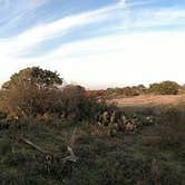 Review photo of Moss Lake Area — Enchanted Rock State Natural Area by R W., July 13, 2017