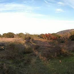 Moss Lake Area — Enchanted Rock State Natural Area