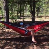Review photo of Camp Hale Memorial by Karen B., July 13, 2017