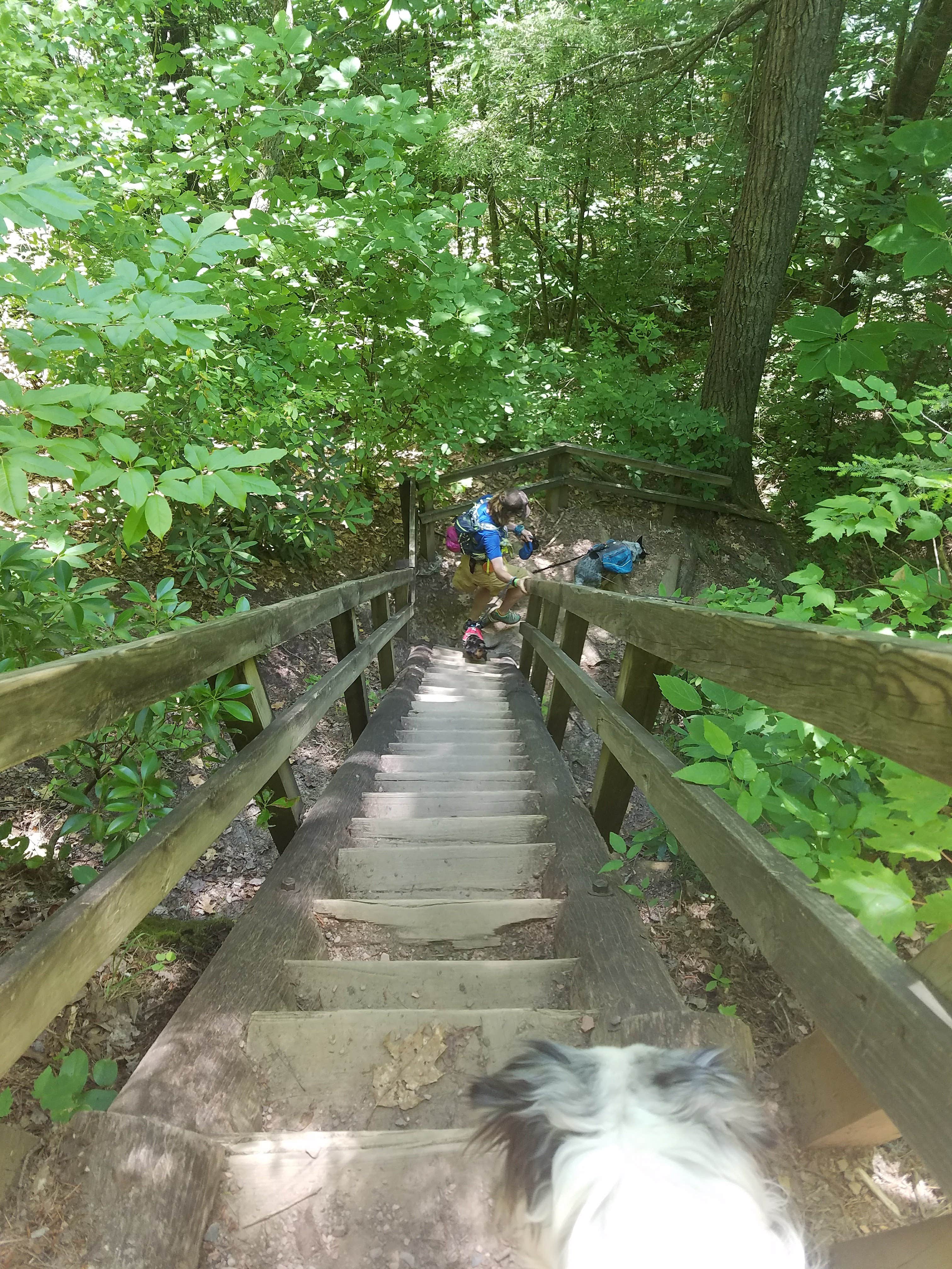 Camper submitted image from Bandy Creek Campground — Big South Fork National River and Recreation Area - 4