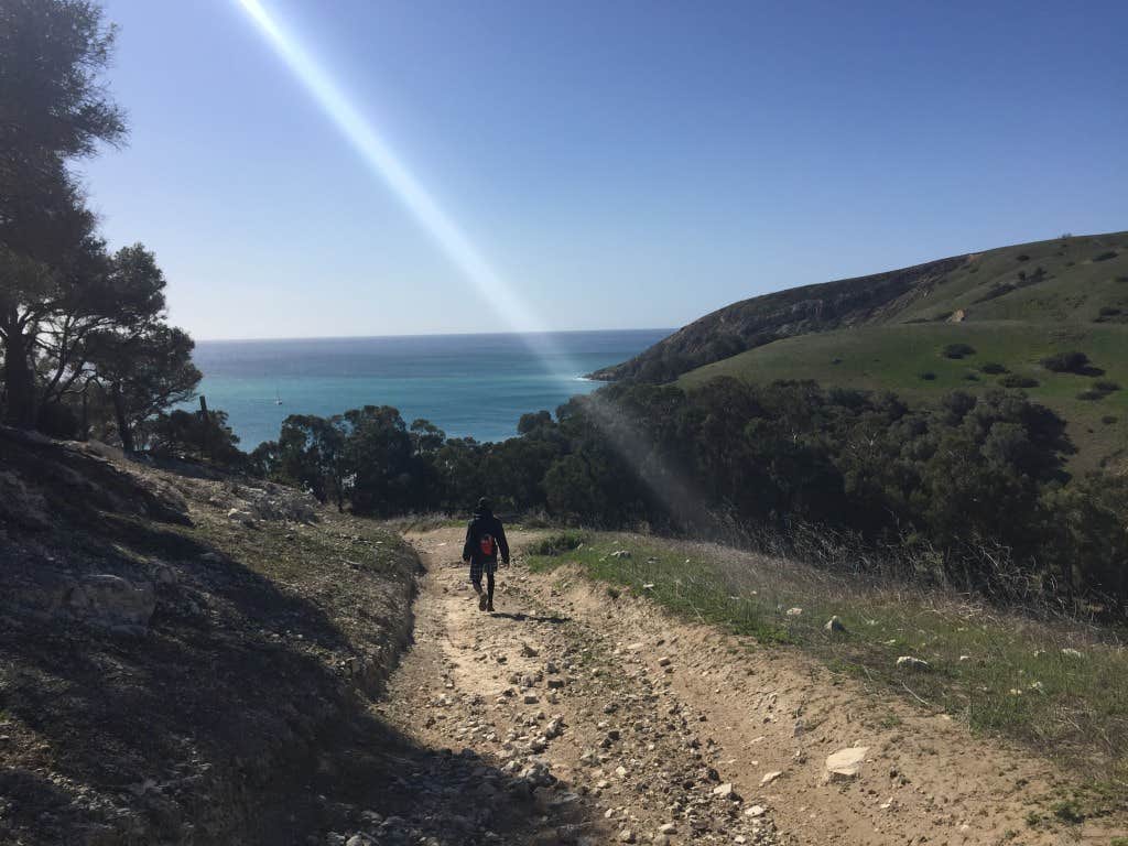 Camper submitted image from Santa Cruz Island Scorpion Canyon Campground — Channel Islands National Park - 3