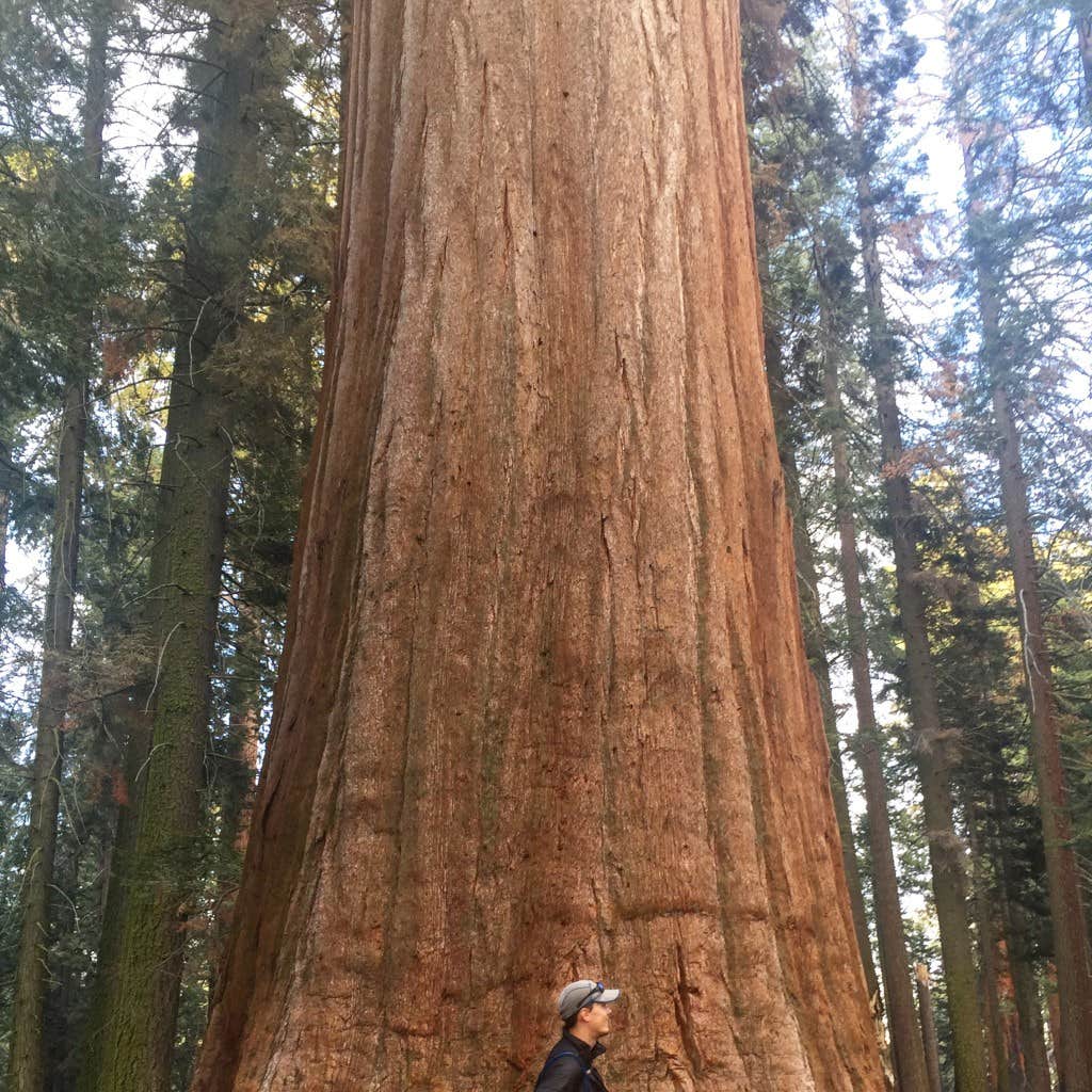 Camper-submitted photo at Tule - Success Lake near Sunland, CA