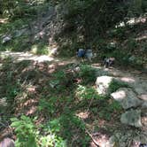Review photo of Mammoth Cave Campground — Mammoth Cave National Park by Shelly S., September 18, 2016
