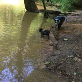Review photo of Mammoth Cave Campground — Mammoth Cave National Park by Shelly S., September 18, 2016