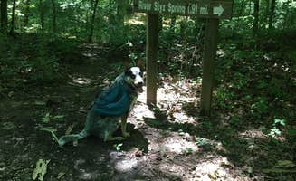 Shelly S.'s photo of camping with pets at Mammoth Cave Campground — Mammoth Cave National Park near Mammoth Cave, KY