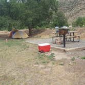 Review photo of Island Acres Section Camping — James M. Robb Colorado River State Park by Melissa K., July 13, 2017