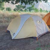 Review photo of Island Acres Section Camping — James M. Robb Colorado River State Park by Melissa K., July 13, 2017