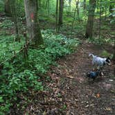 Review photo of Shawnee State Park Campground by Shelly S., July 6, 2017