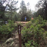 Review photo of Pa-Co-Chu-Puk Campground — Ridgway State Park by Melissa K., July 13, 2017