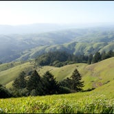 Review photo of Steep Ravine Campground — Mount Tamalpais State Park by Patrick O., June 26, 2016