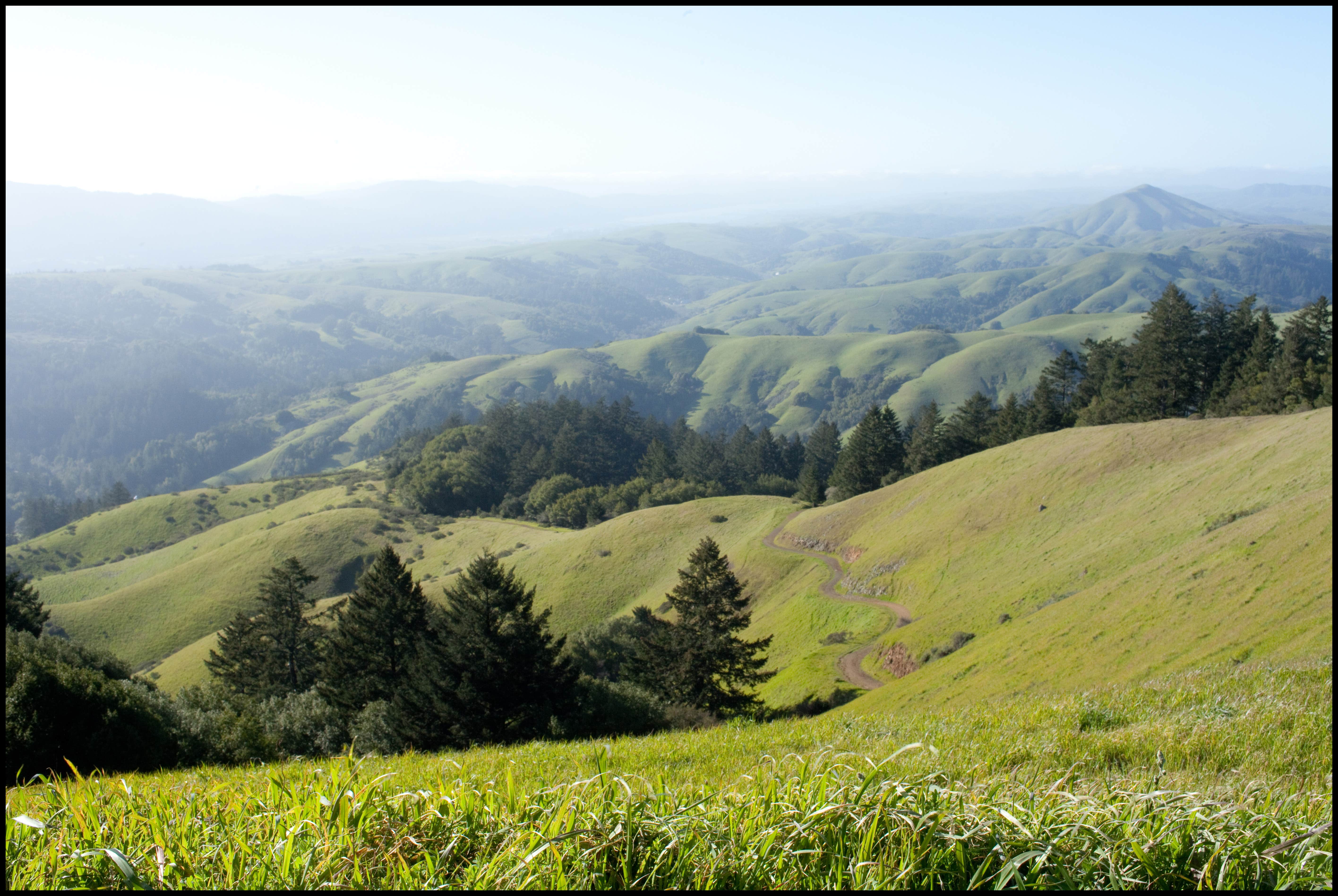 Camper submitted image from Steep Ravine Campground — Mount Tamalpais State Park - 2