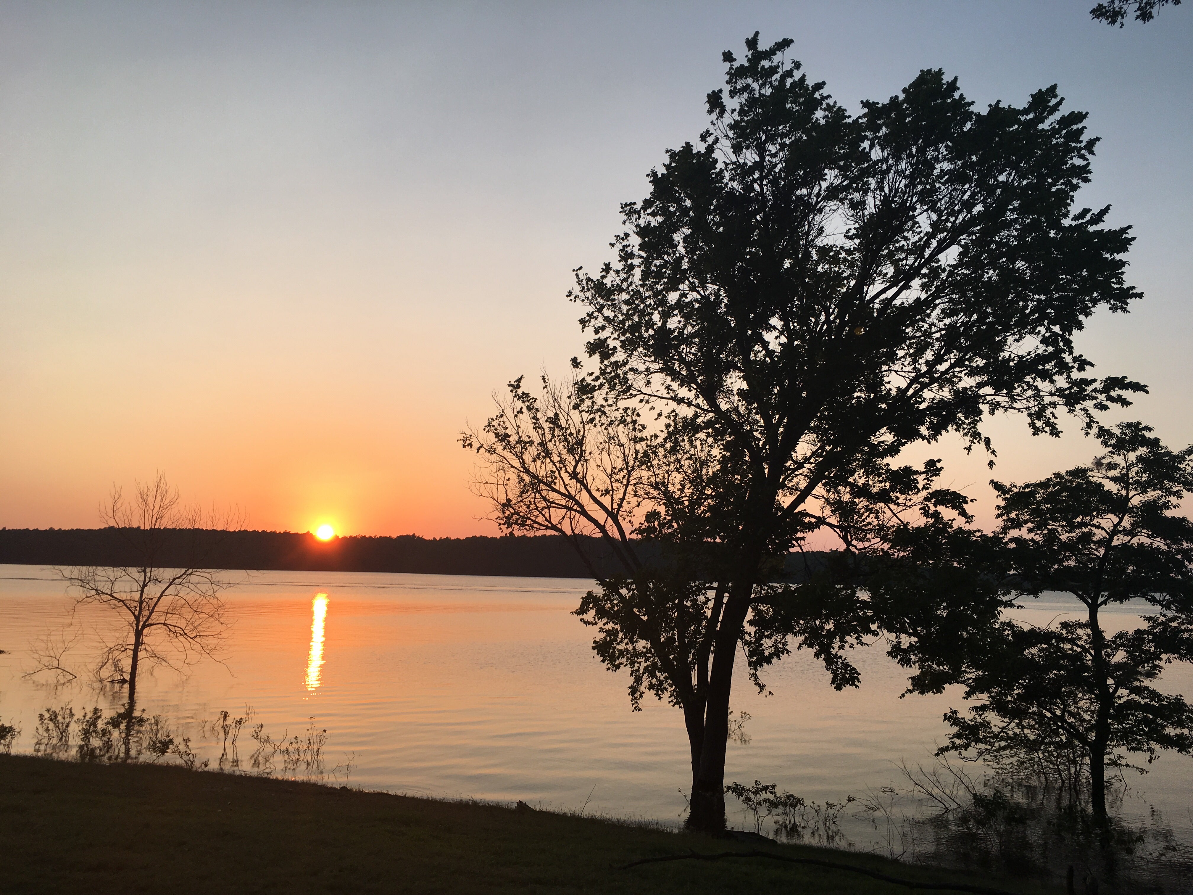 Camper submitted image from Lakeview - Bull Shoals Lake - 2
