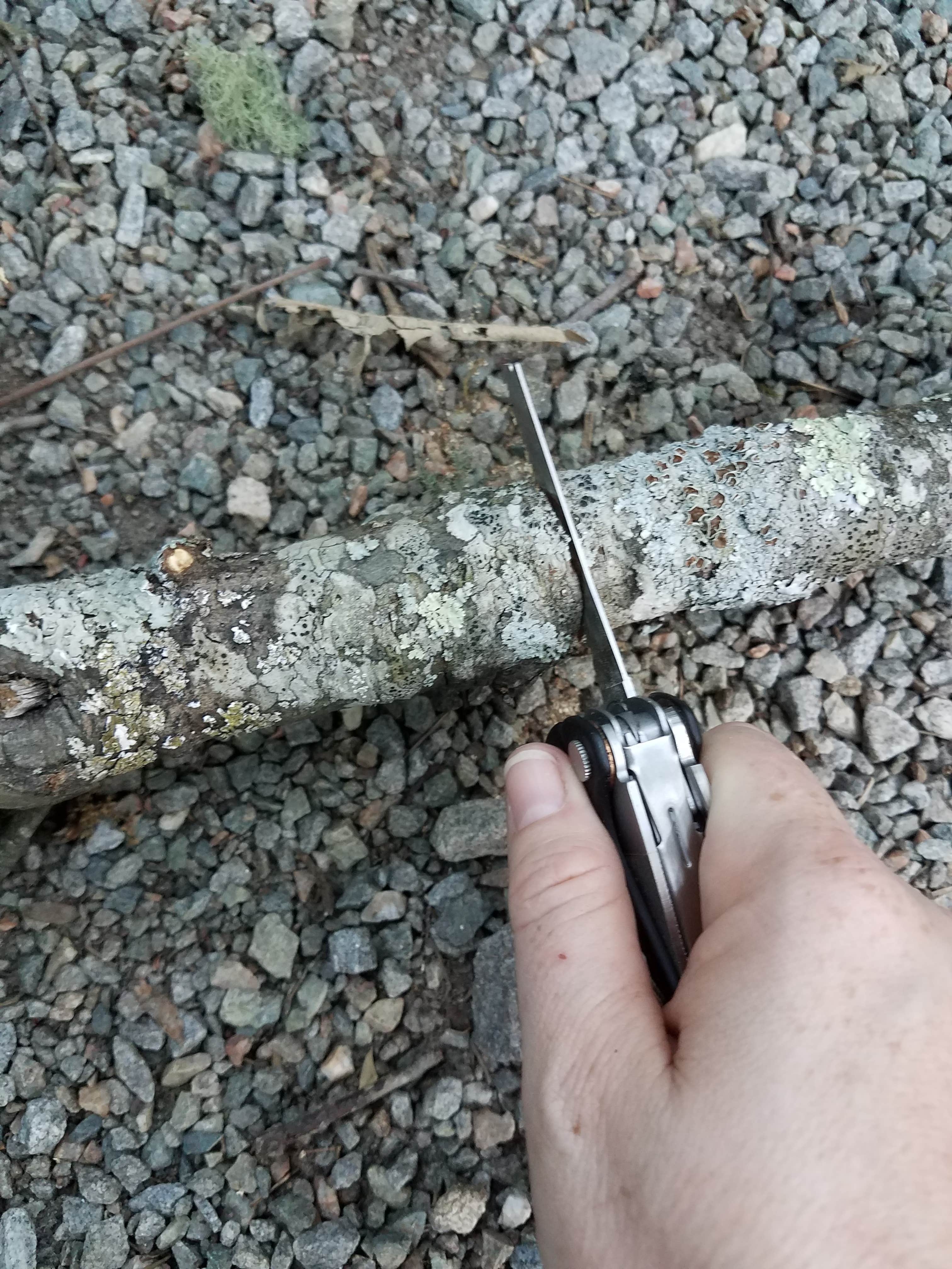 Camper-submitted photo at Twin Lakes State Park Campground near Burkeville, VA