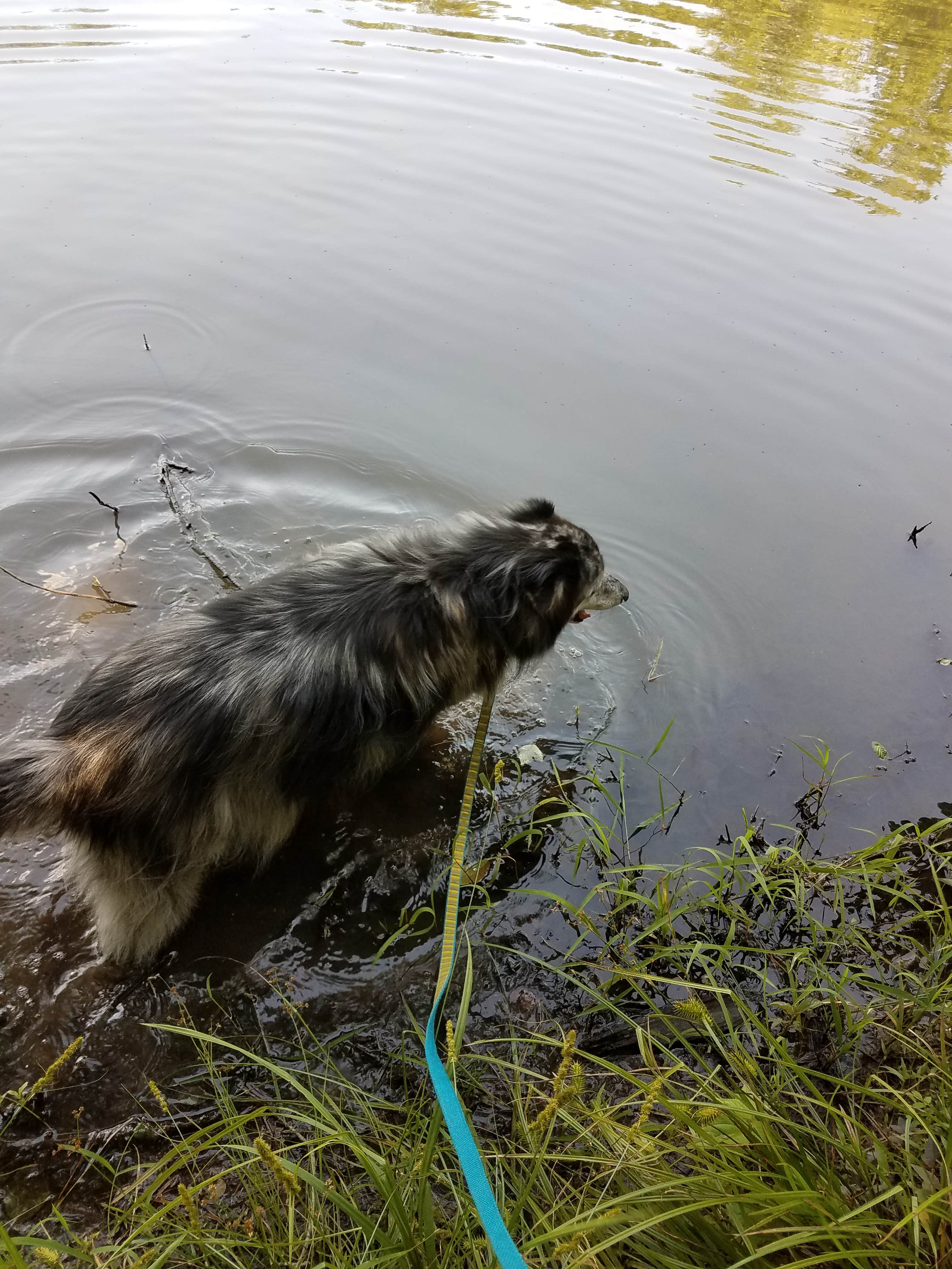 Camper-submitted photo at Twin Lakes State Park Campground near Prospect, VA