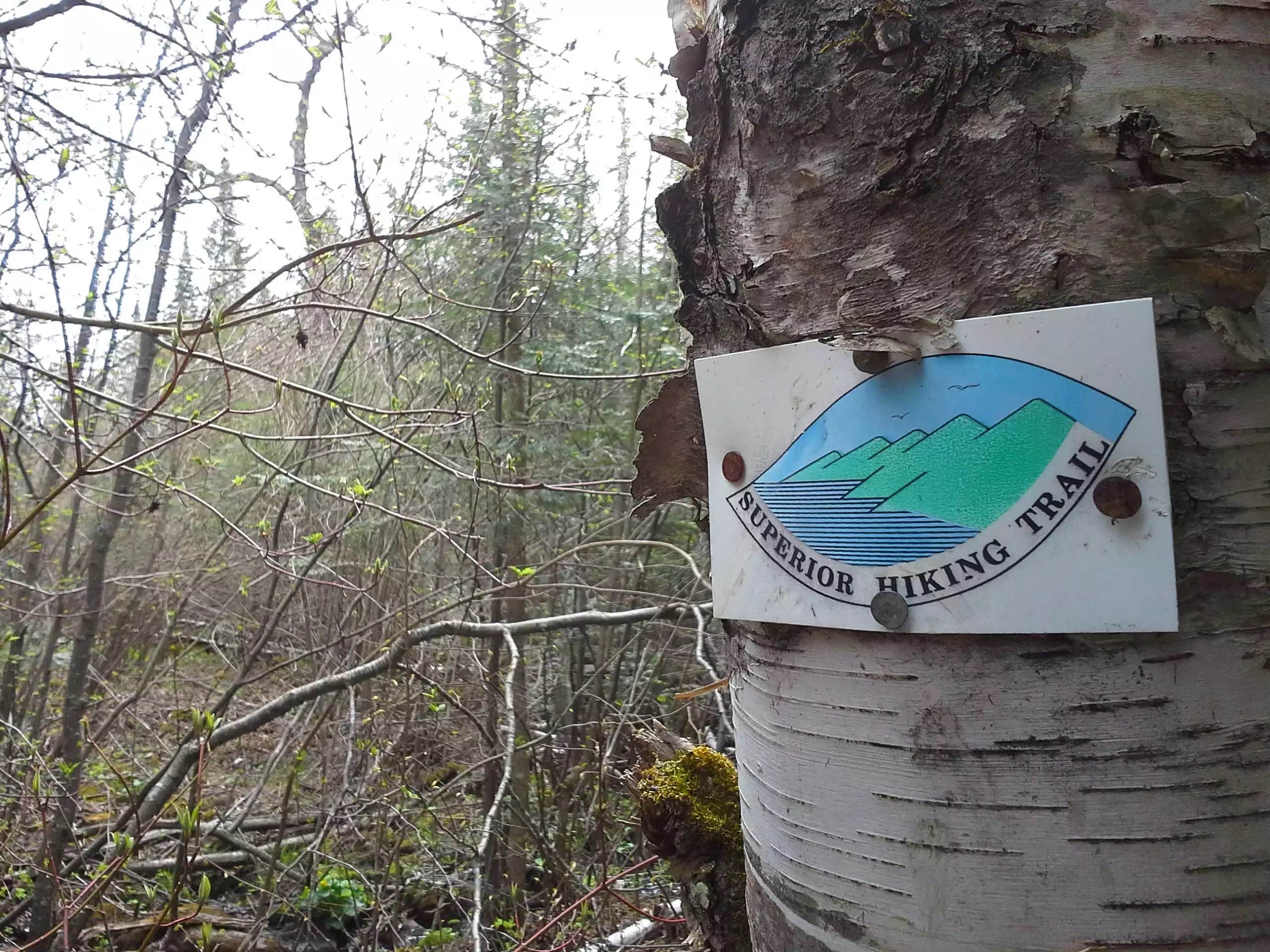 Camper-submitted photo at North Bally Creek Pond Campsite near Grand Marais, MN