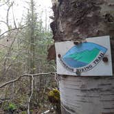 Review photo of North Bally Creek Pond Campsite by Amy G., July 13, 2017
