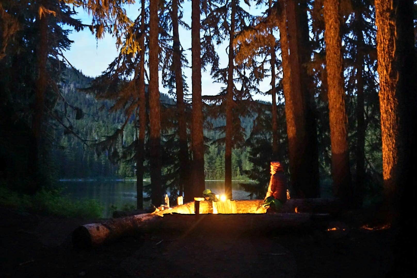 Camper-submitted photo at Lake Eleanor Backcountry Campsites — Mount Rainier National Park near Greenwater, WA