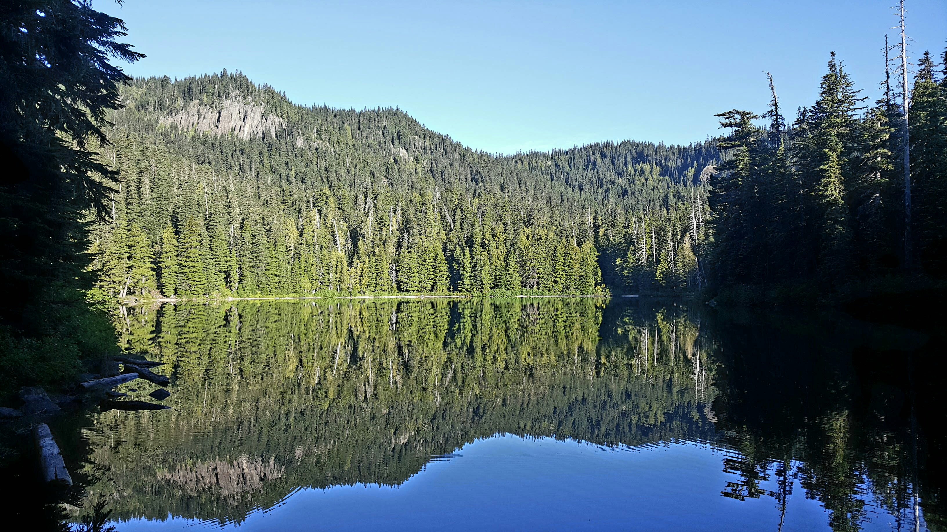 Camper submitted image from Lake Eleanor Backcountry Campsites — Mount Rainier National Park - 4