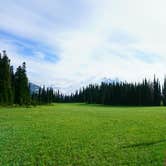 Review photo of Lake Eleanor Backcountry Campsites — Mount Rainier National Park by Kyle M., July 13, 2017