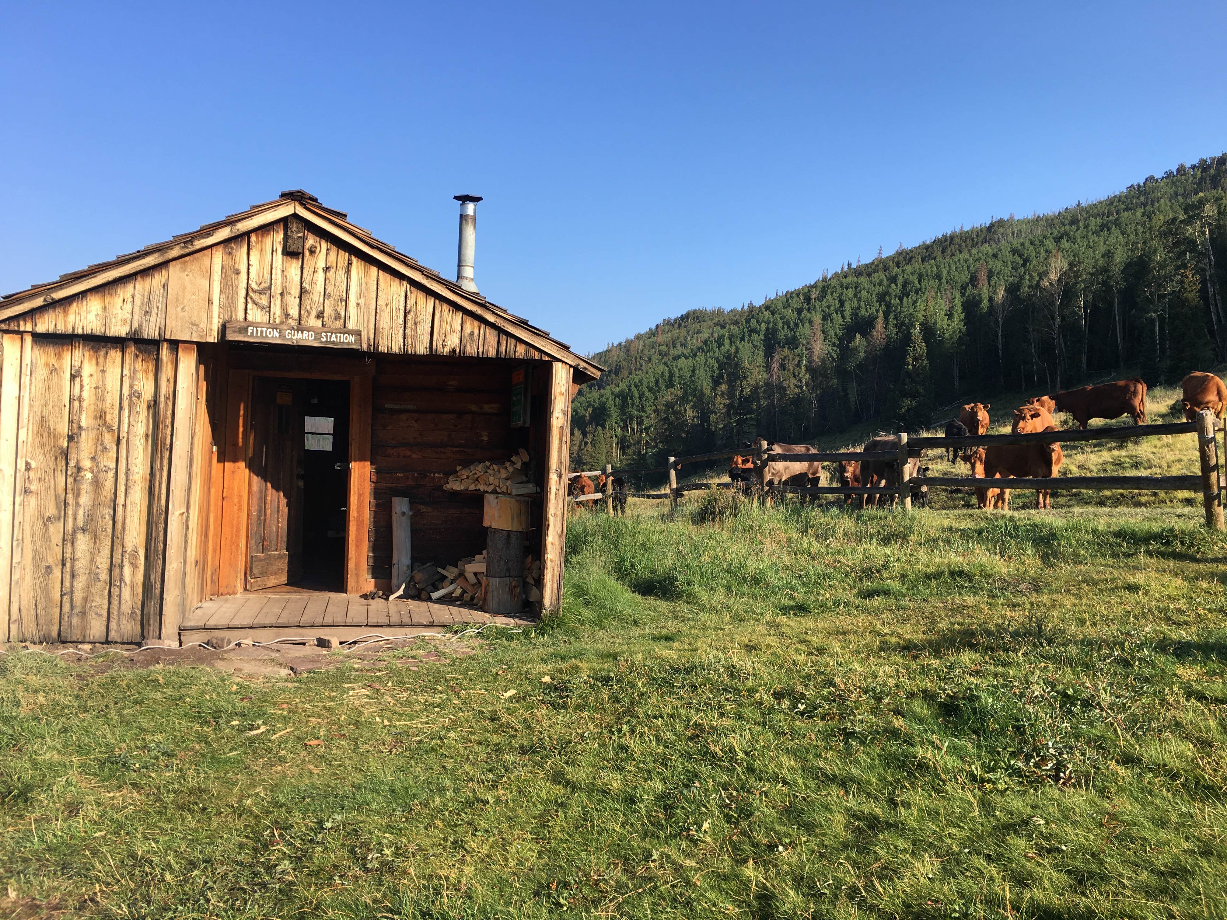Camper submitted image from Fitton Guard Station Cabin - 3
