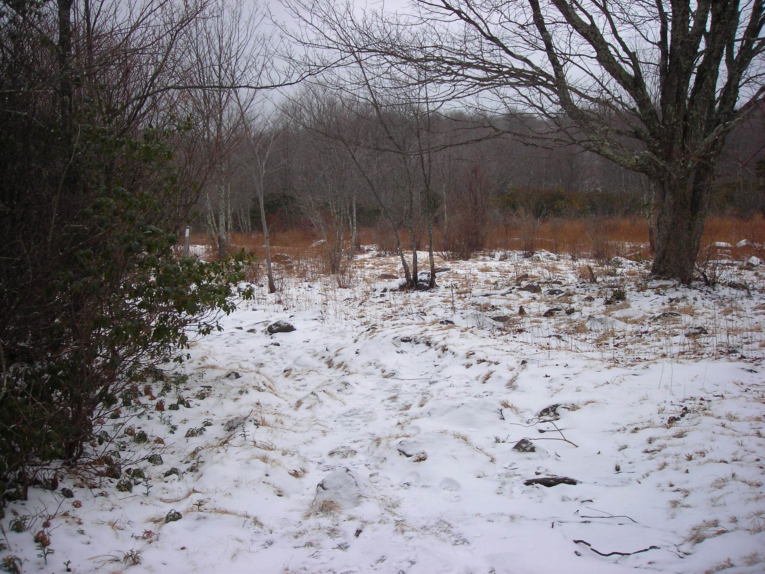 Camper-submitted photo at Chestnut Hollow Horse Campground — Grayson Highlands State Park near Cana, VA