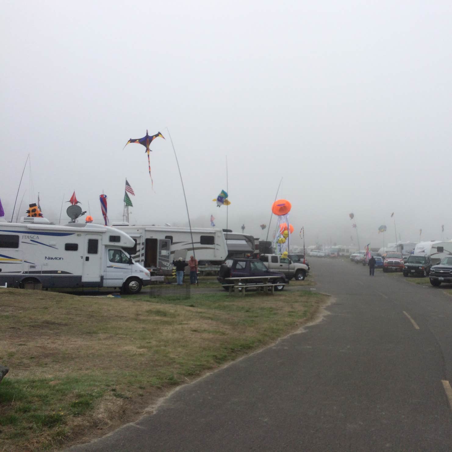 Pacific Beach State Park Camping The Dyrt