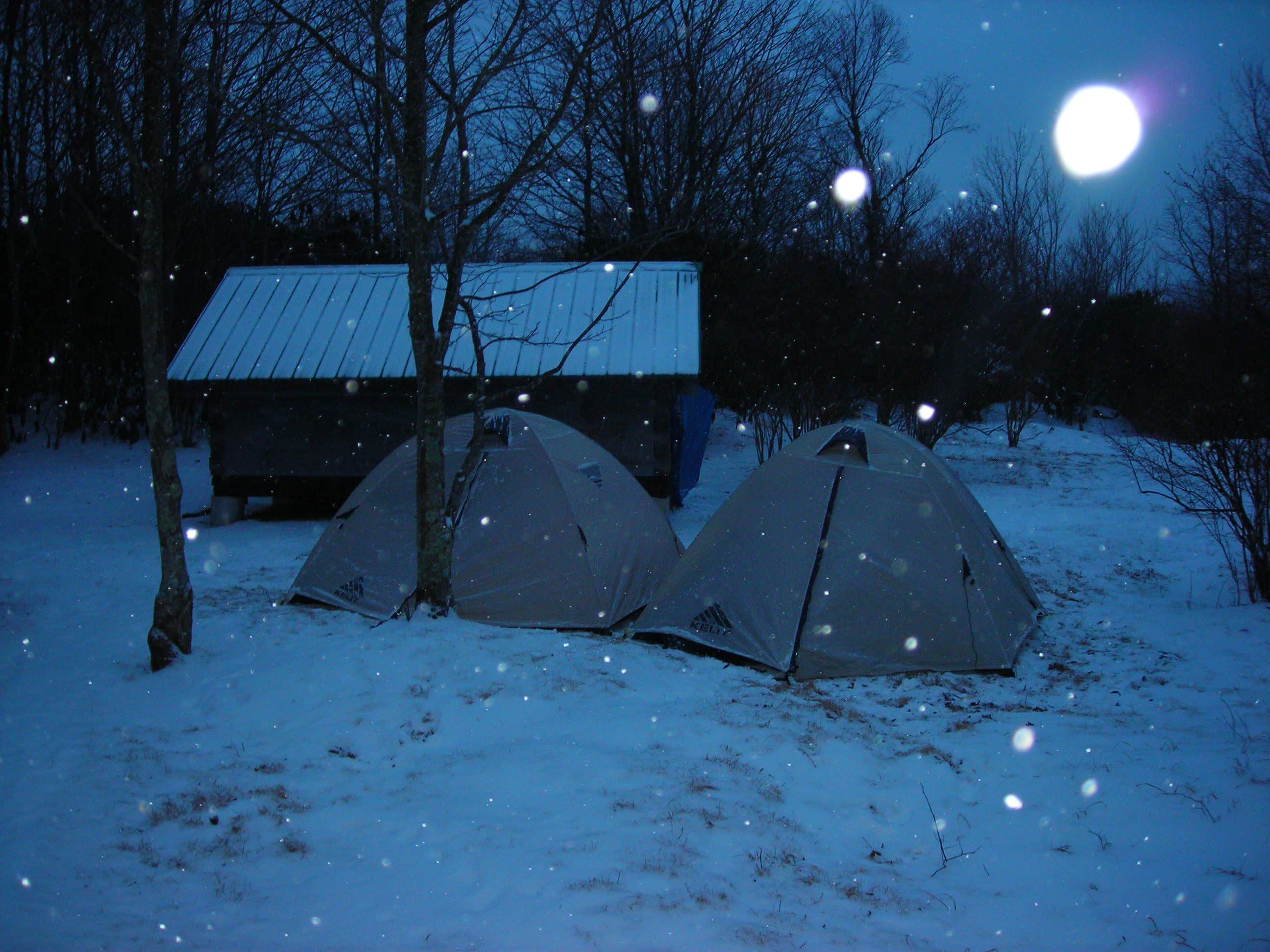 Camper submitted image from Chestnut Hollow Horse Campground — Grayson Highlands State Park - 5