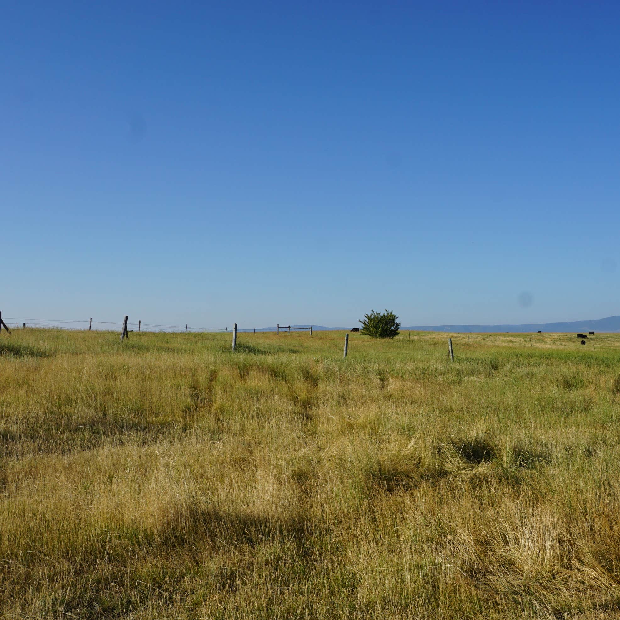Ackley Lake State Park Camping The Dyrt