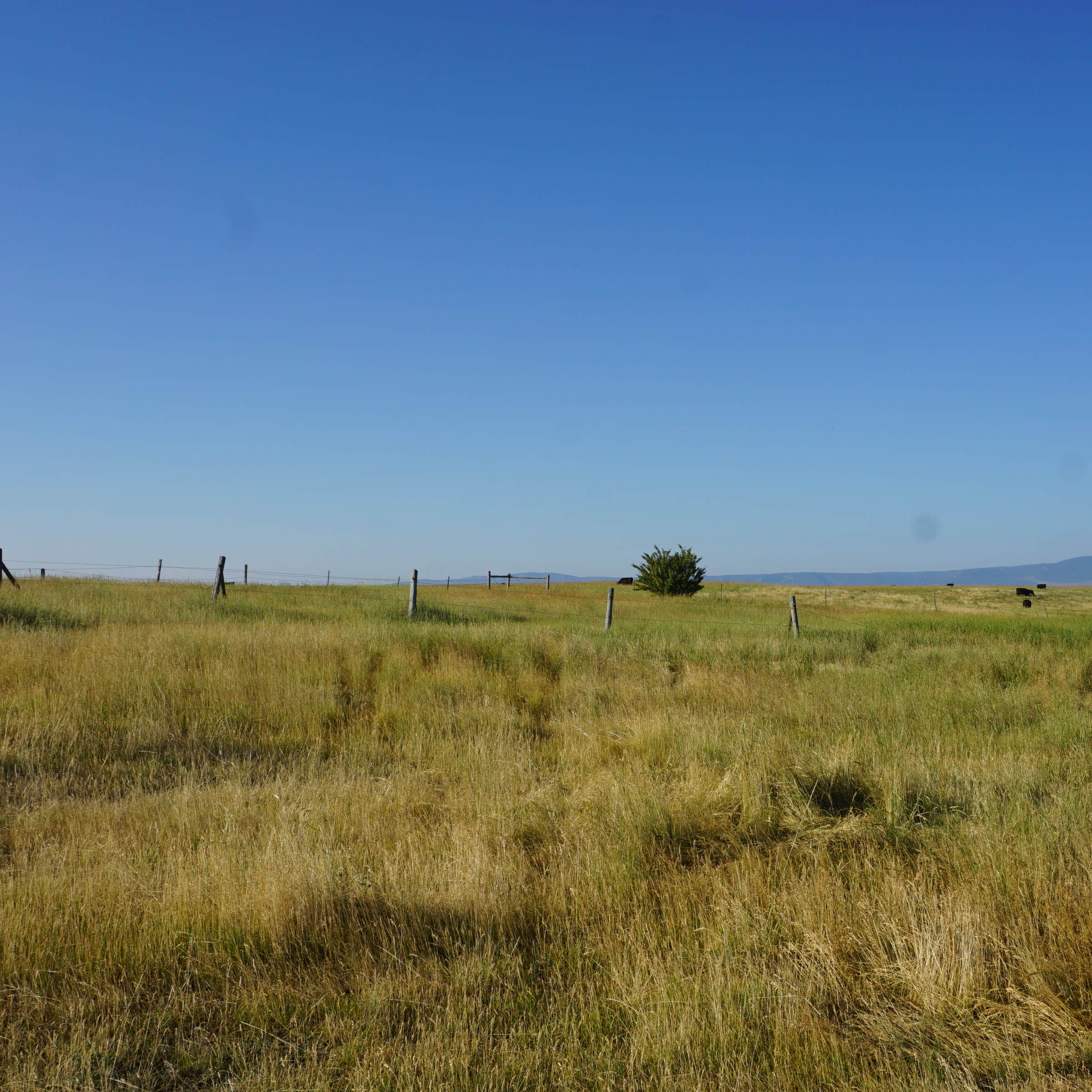Ackley Lake State Park Camping The Dyrt