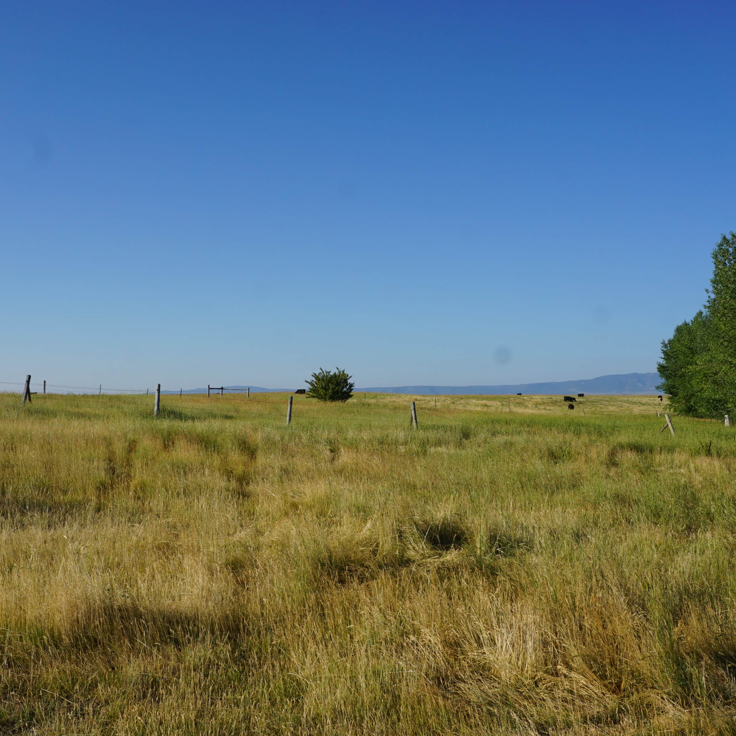 Montana's Hidden Gem: Ackley Lake State Park - A Paradise for Outdoor Enthusiasts