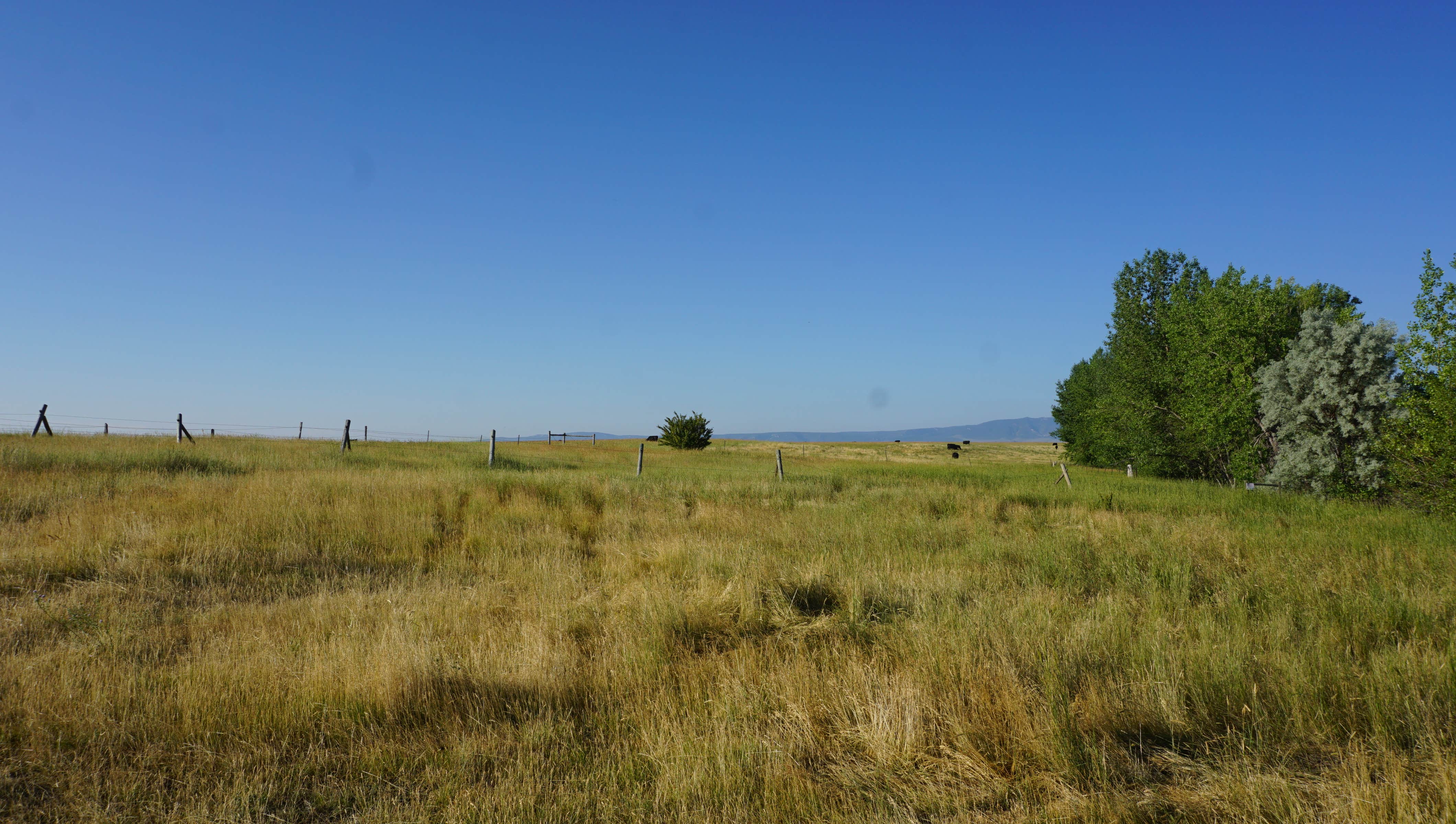 Camper submitted image from Ackley Lake State Park Campground - 2