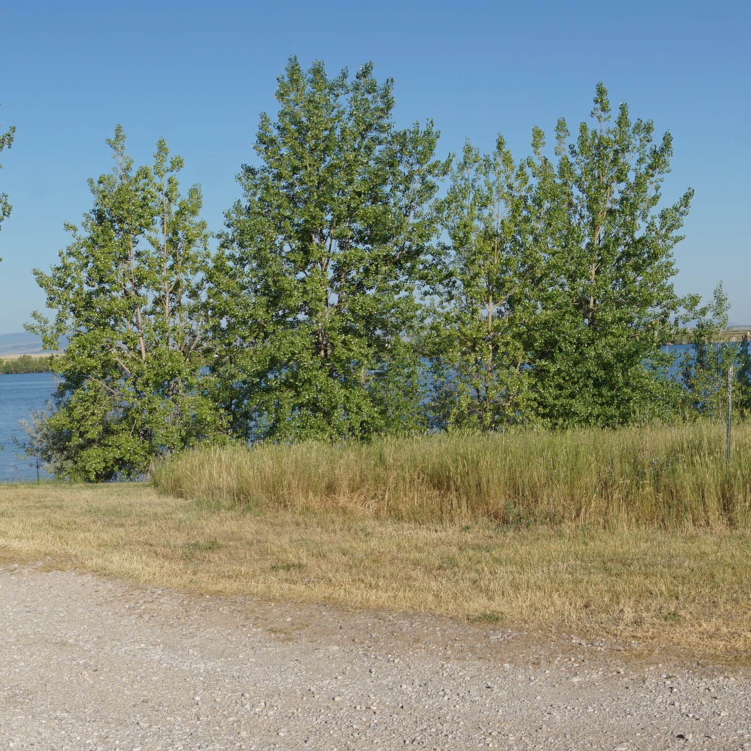 Ackley Lake State Park Camping The Dyrt