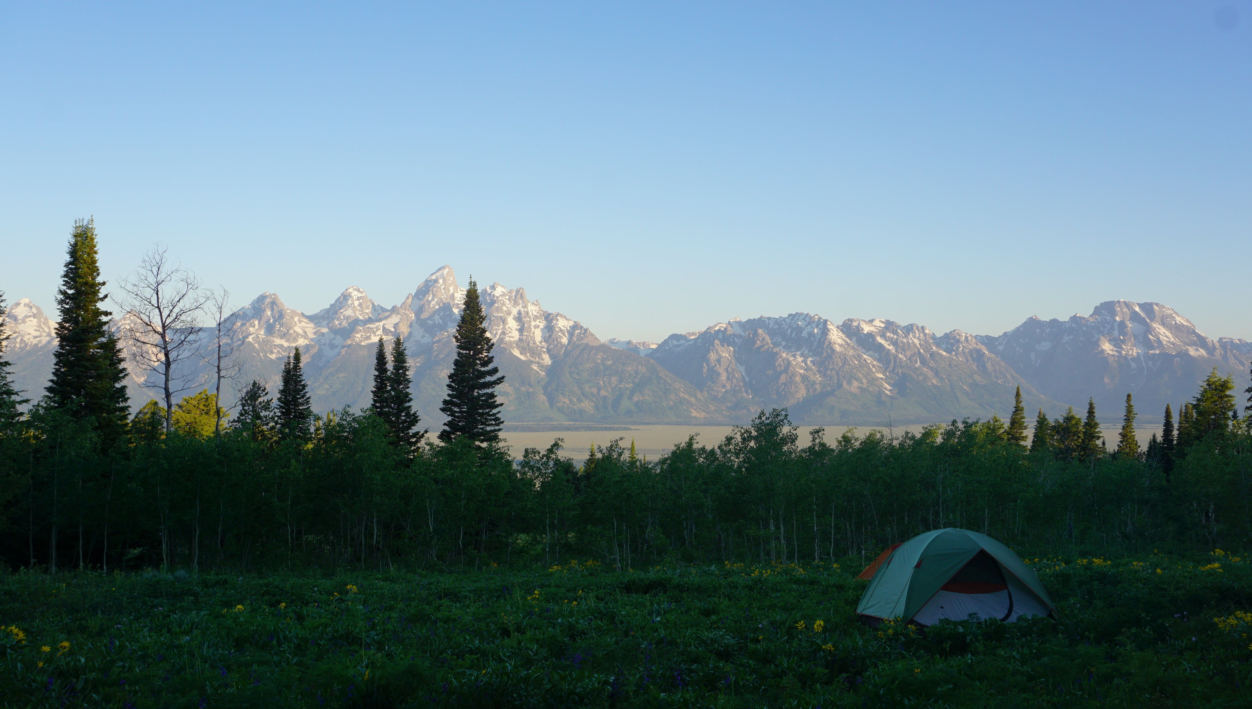 Camper submitted image from Shadow Mountain Dispersed Camping - 4