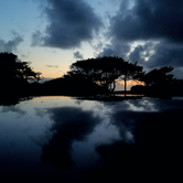 Review photo of Beachside State Recreation Site by Tj B., July 14, 2017