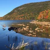 Review photo of Blackwoods Campground — Acadia National Park by Rebecca C., July 14, 2017