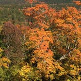 Review photo of Blackwoods Campground — Acadia National Park by Rebecca C., July 14, 2017