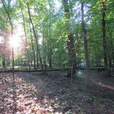 Review photo of Hollofield Area Campground by Rebecca C., July 14, 2017