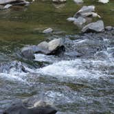 Review photo of Hollofield Area Campground by Rebecca C., July 14, 2017