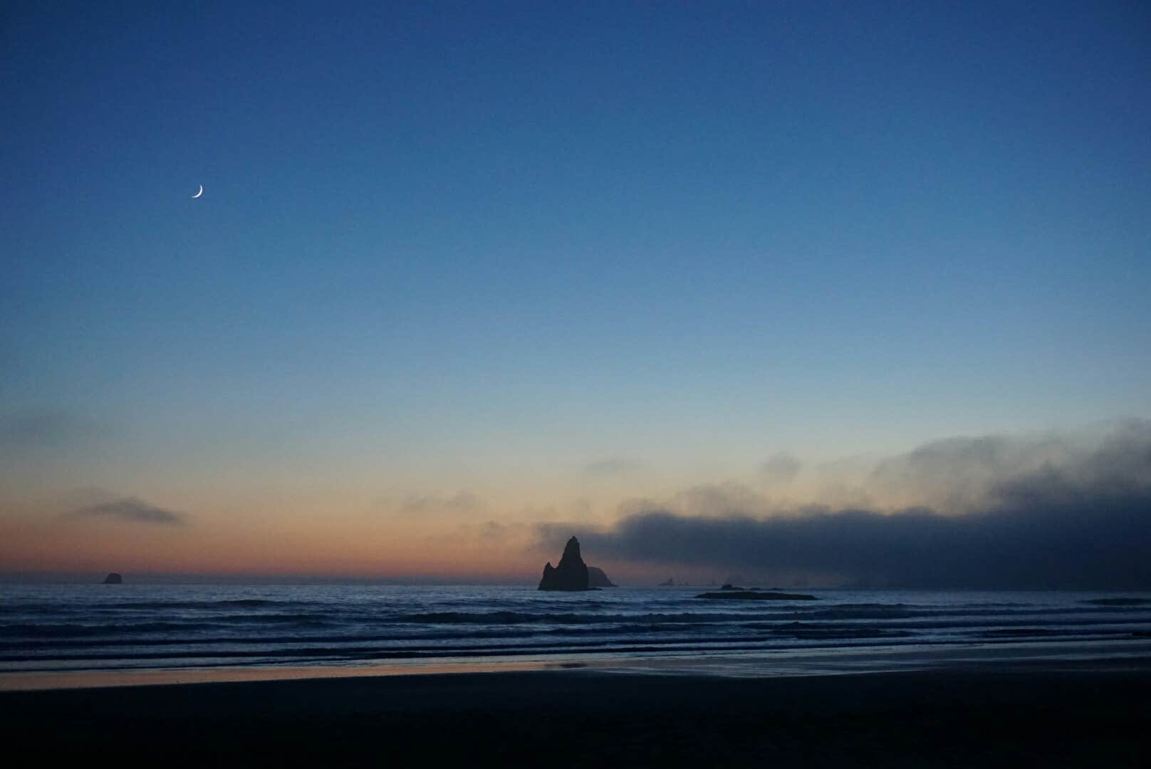 Camper submitted image from Mosquito Creek — Olympic National Park - 3