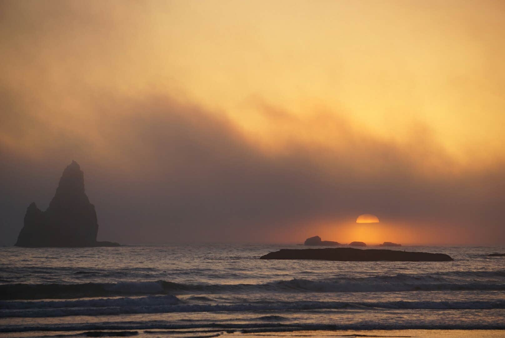 Camper-submitted photo at Mosquito Creek — Olympic National Park near Forks, WA